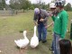 鳥が接近！