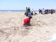 Beach Flag
