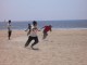 Beach Flag08
